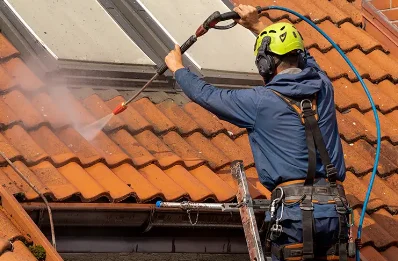 Démoussage et hydrofuge de toiture à Aubure